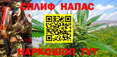 apvp Свободный