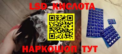 apvp Свободный