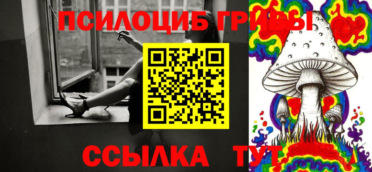 Псилоцибиновые грибы MAGIC MUSHROOMS  Вход с VPN  Полысаево 